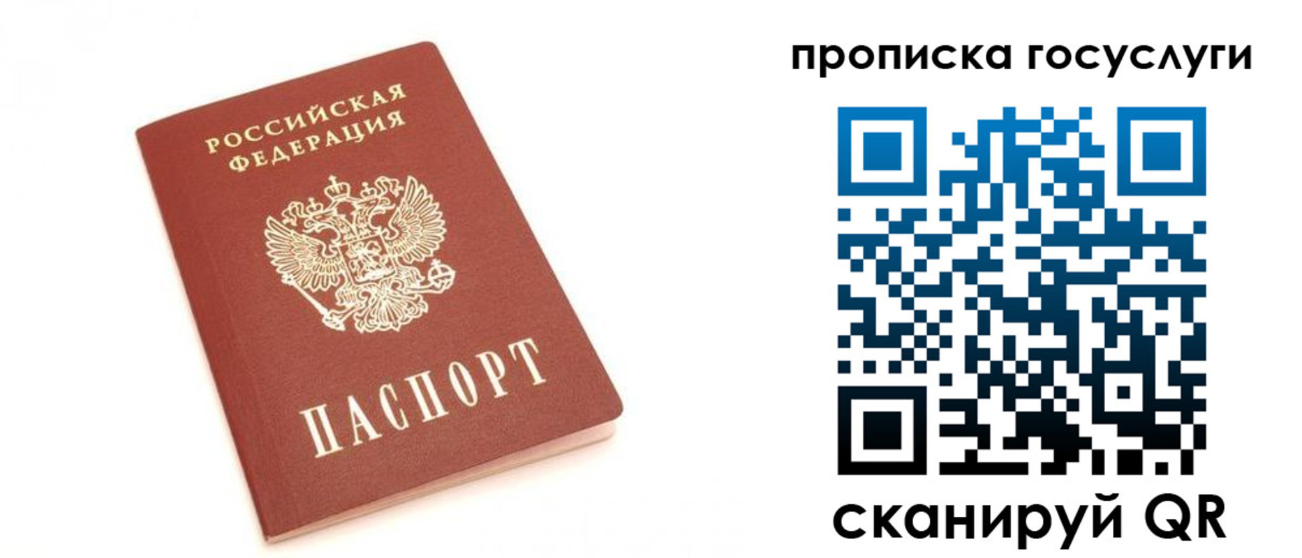 временная регистрация собственник в Курской области